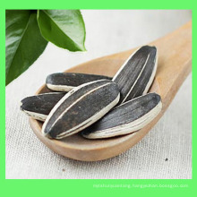 Top quality 2019 black sunflower seeds nuts 5009 in bulk wholesal price